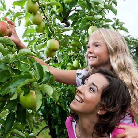 Hoechsten * Friedrichshafen