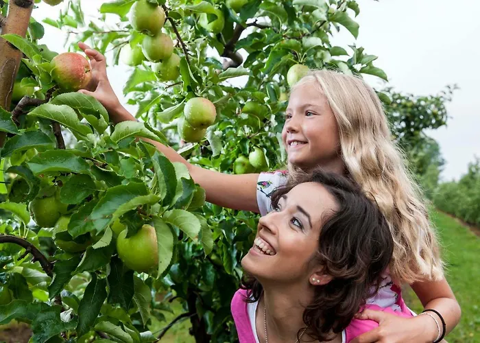 Hoechsten * Фридрихсхафен